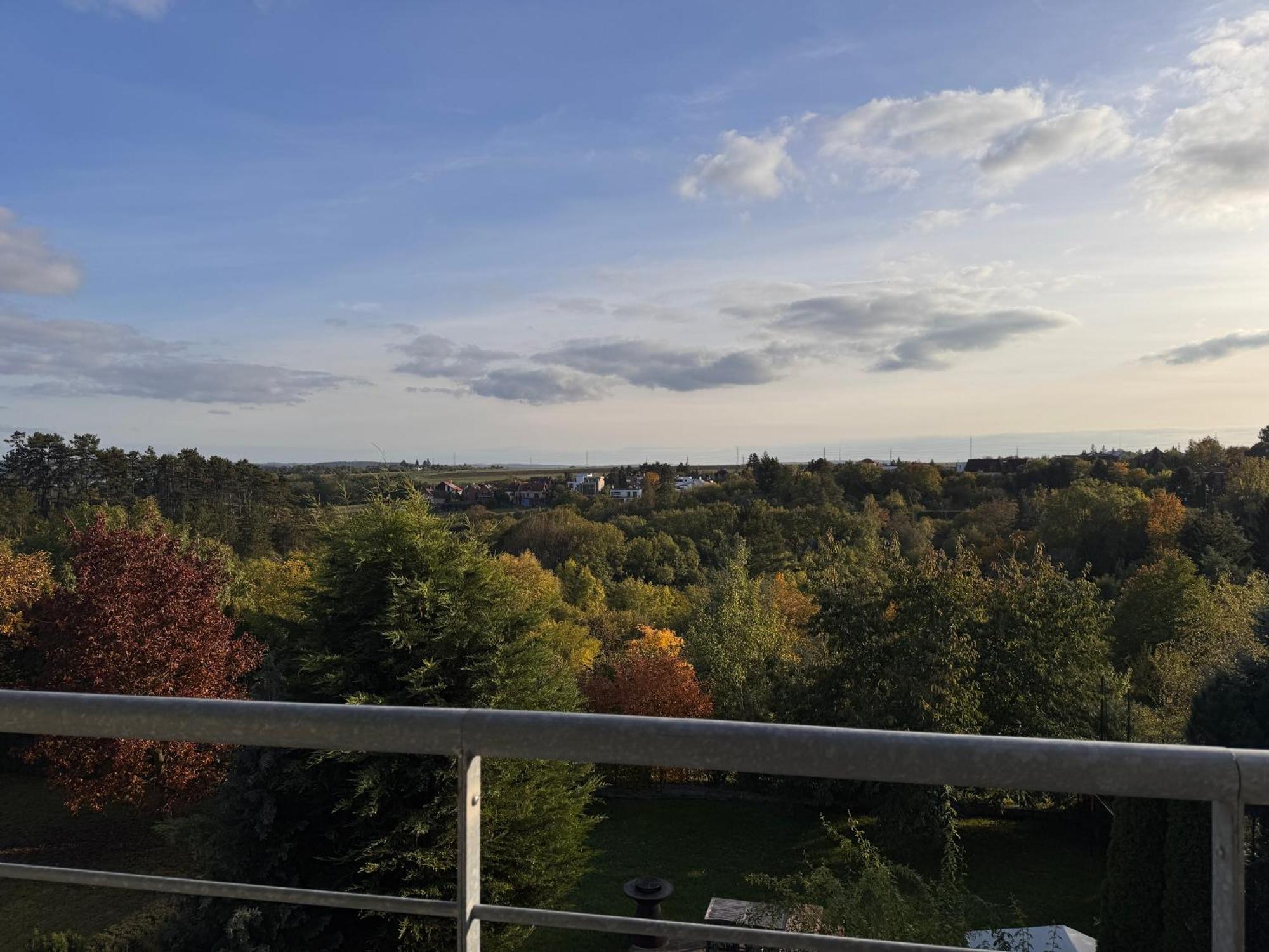 Diamondvilla, 4 Bedroom Apartment, Garden & Spa Prague Exterior photo